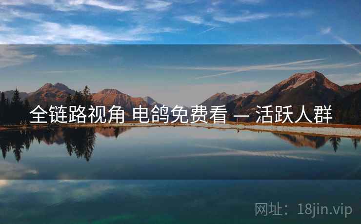 全链路视角 电鸽免费看 — 活跃人群