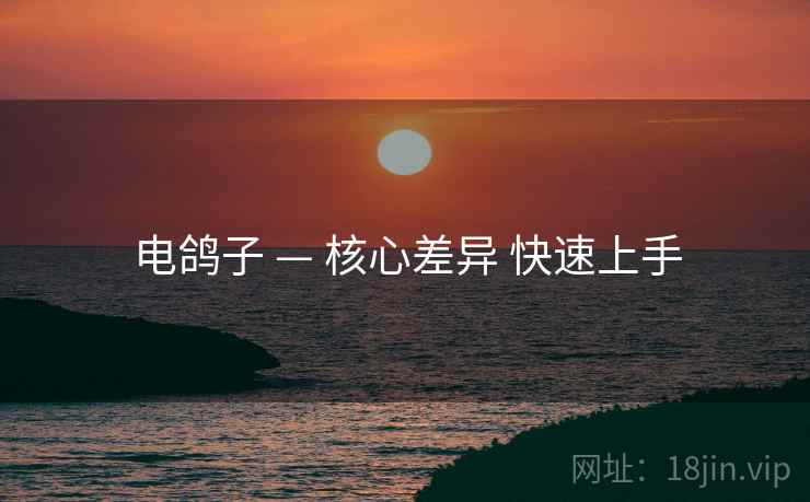 电鸽子 — 核心差异 快速上手