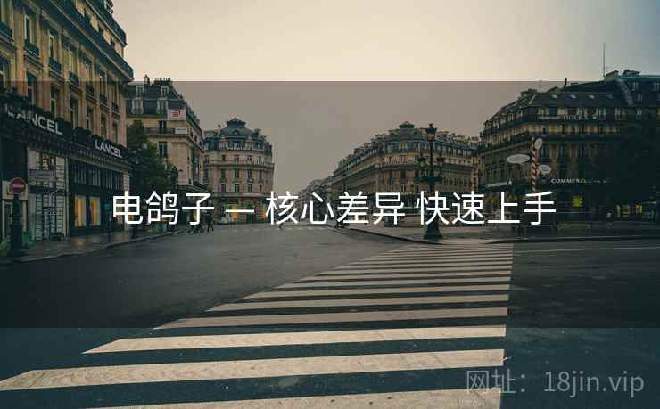电鸽子 — 核心差异 快速上手
