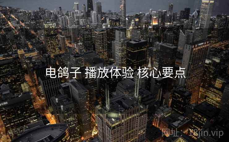 电鸽子 播放体验 核心要点