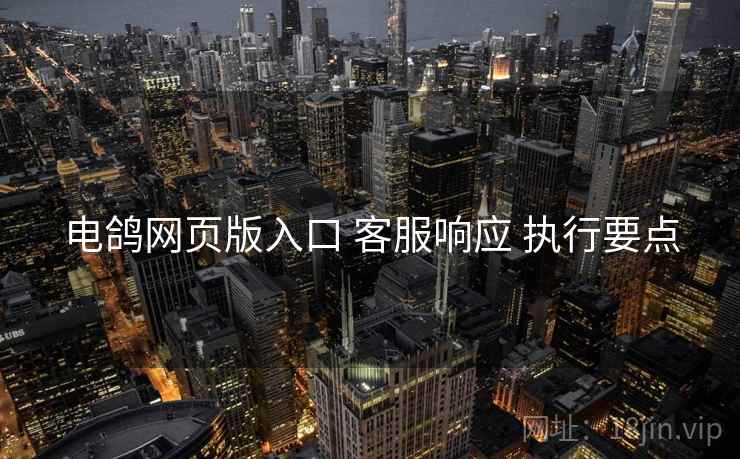 电鸽网页版入口 客服响应 执行要点