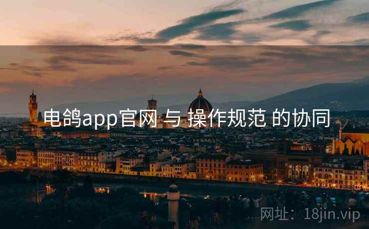 电鸽app官网 与 操作规范 的协同