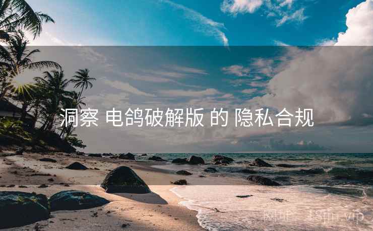 洞察 电鸽破解版 的 隐私合规