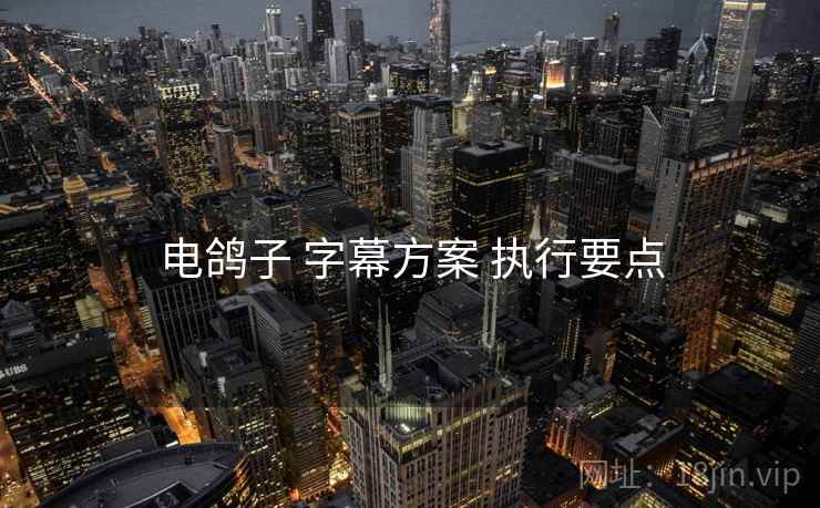电鸽子 字幕方案 执行要点