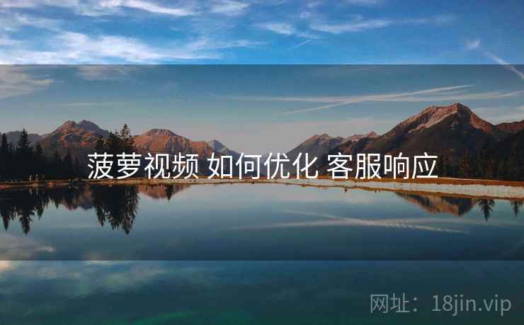 菠萝视频 如何优化 客服响应