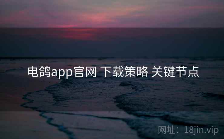 电鸽app官网 下载策略 关键节点