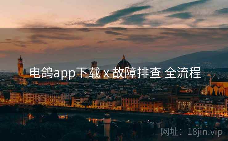 电鸽app下载 x 故障排查 全流程