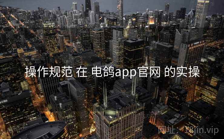 操作规范 在 电鸽app官网 的实操