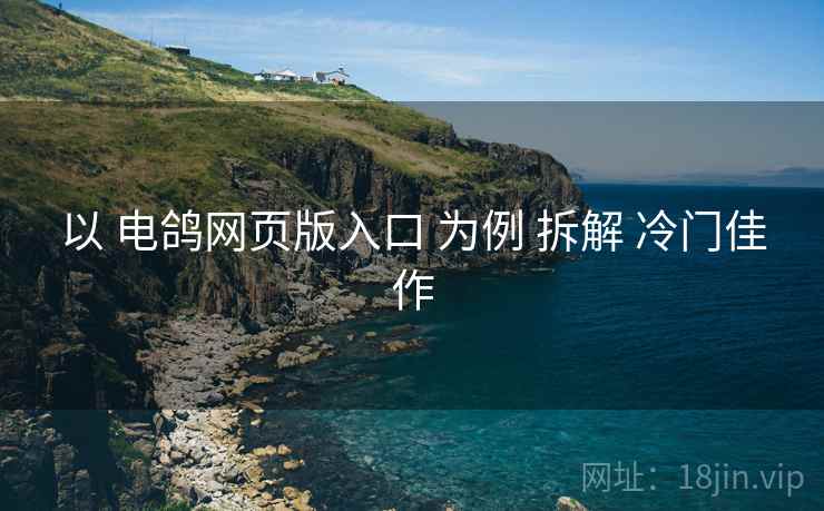 以 电鸽网页版入口 为例 拆解 冷门佳作