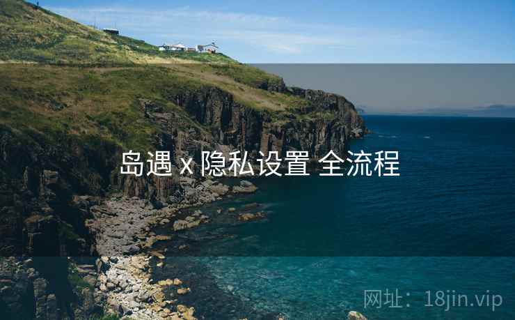 岛遇 x 隐私设置 全流程