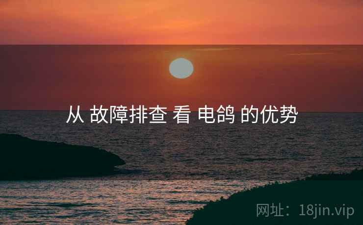 从 故障排查 看 电鸽 的优势
