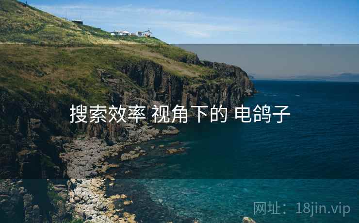 搜索效率 视角下的 电鸽子