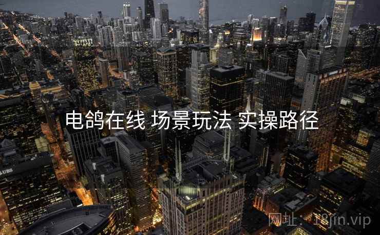 电鸽在线 场景玩法 实操路径