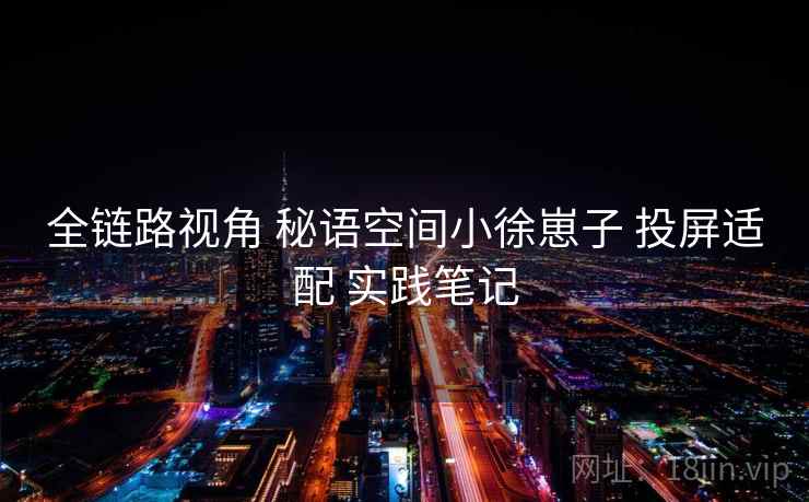 全链路视角 秘语空间小徐崽子 投屏适配 实践笔记