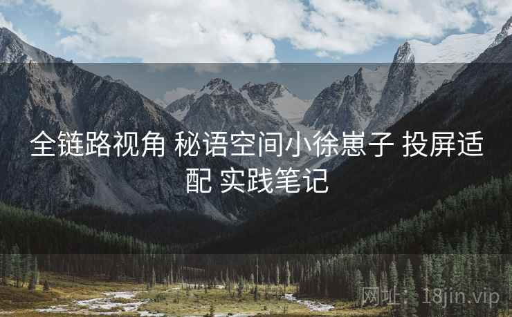 全链路视角 秘语空间小徐崽子 投屏适配 实践笔记
