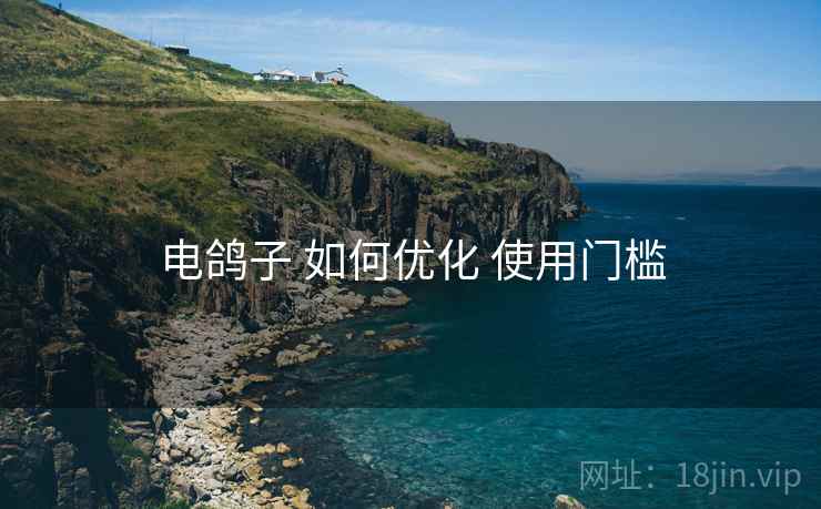 电鸽子 如何优化 使用门槛