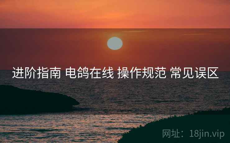 进阶指南 电鸽在线 操作规范 常见误区