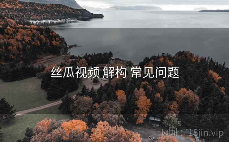 丝瓜视频 解构 常见问题