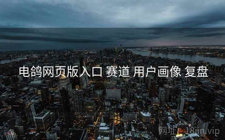 电鸽网页版入口 赛道 用户画像 复盘