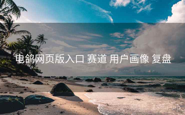 电鸽网页版入口 赛道 用户画像 复盘