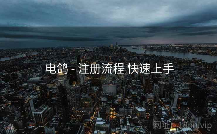电鸽 - 注册流程 快速上手
