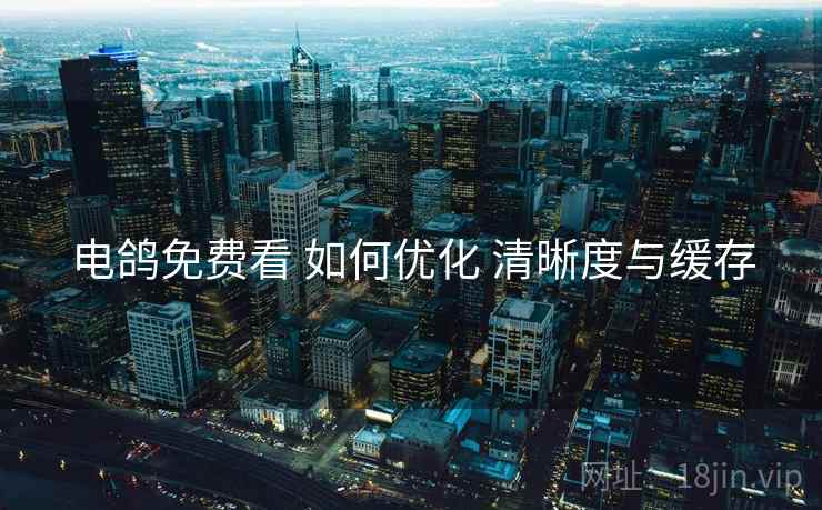 电鸽免费看 如何优化 清晰度与缓存