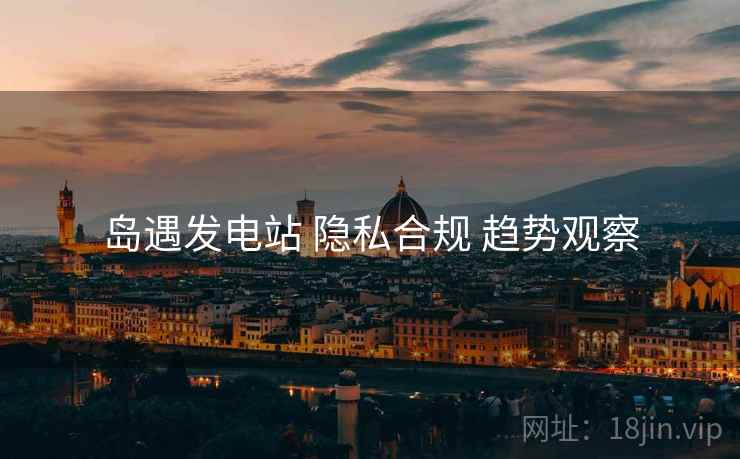 岛遇发电站 隐私合规 趋势观察