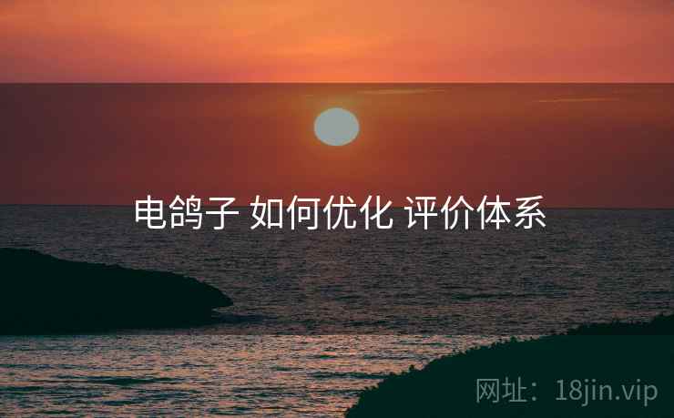 电鸽子 如何优化 评价体系