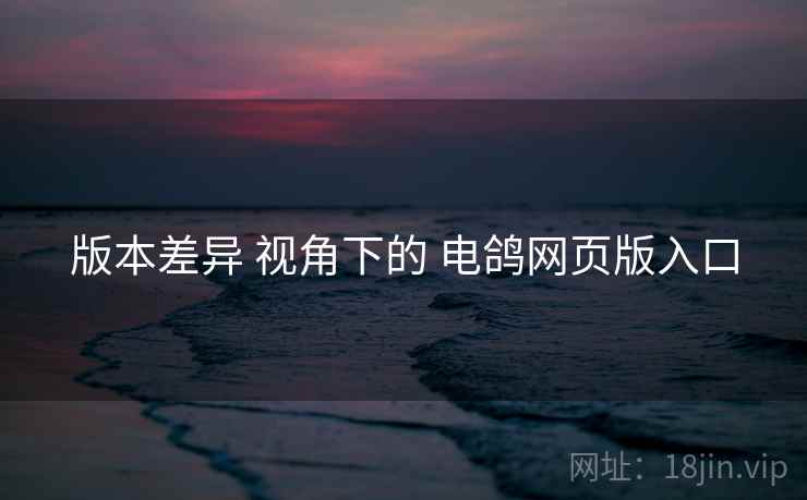 版本差异 视角下的 电鸽网页版入口