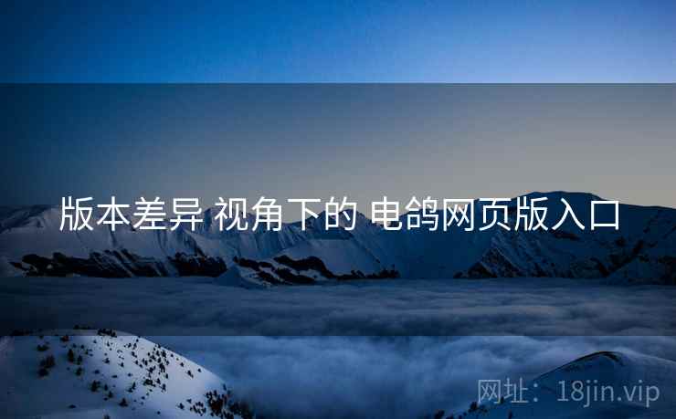 版本差异 视角下的 电鸽网页版入口