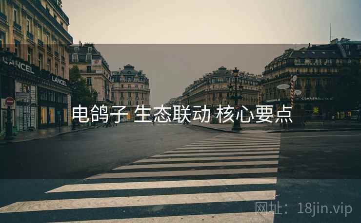 电鸽子 生态联动 核心要点