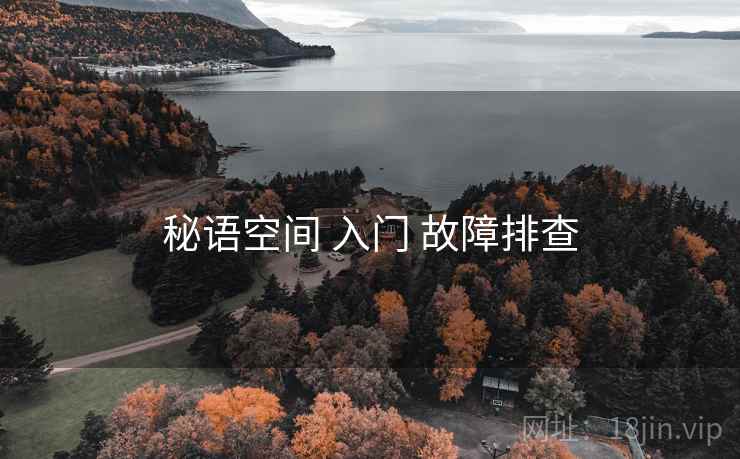 秘语空间 入门 故障排查