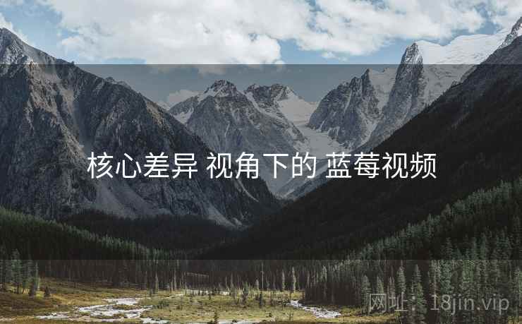 核心差异 视角下的 蓝莓视频