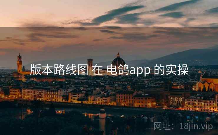 版本路线图 在 电鸽app 的实操