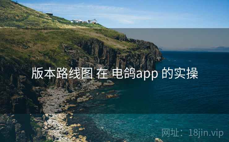 版本路线图 在 电鸽app 的实操